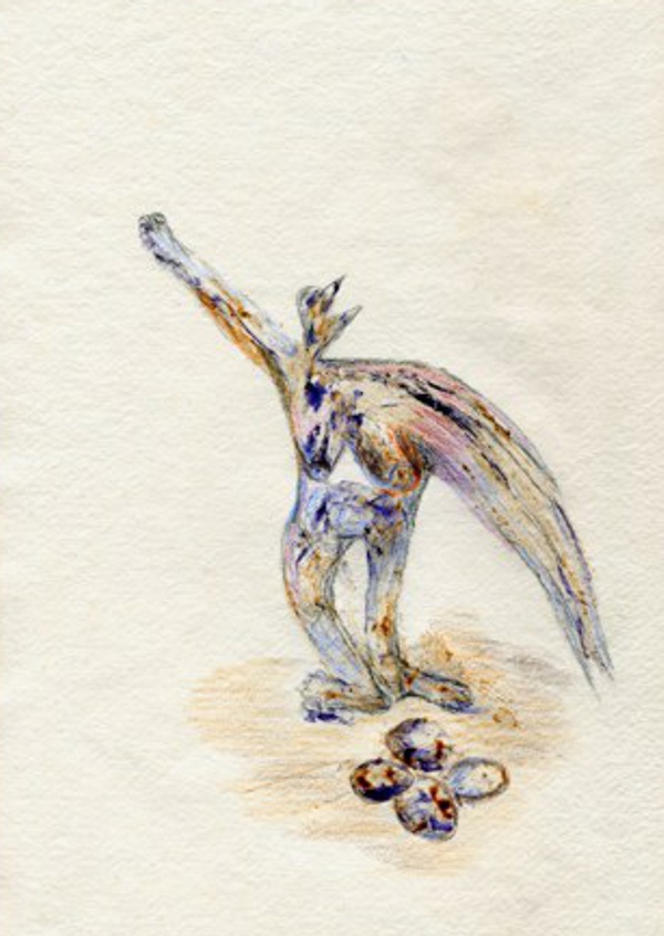 steinbrueterin