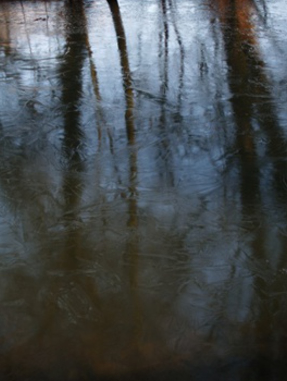 eis-auf-dem-teich